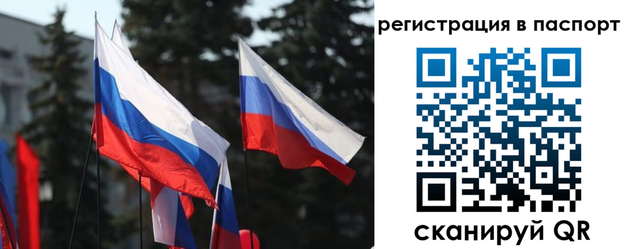 прописка штамп в Лосино-Петровском